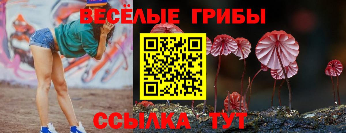 Псилоцибиновые грибы ЛСД  где найти   Галлюциногенные грибы Magic Shrooms  Азнакаево  Вход с VPN 