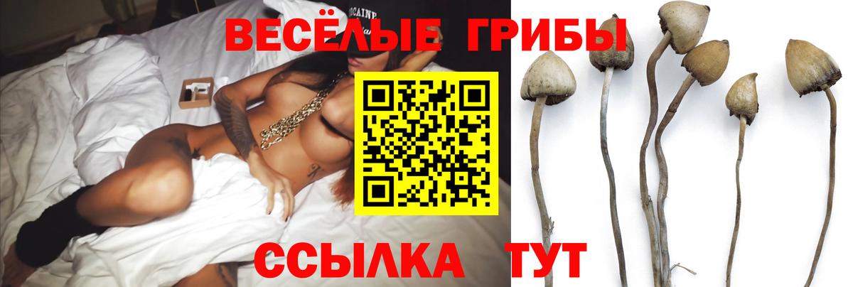 Псилоцибиновые грибы Magic Shrooms Азнакаево
